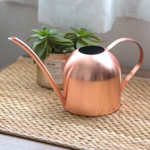 Long Mouth Water Can Stainless Steel Watering Pot Garden Flower Plants Watering Cans 500ML /1000ML Kettle Gardening Tool